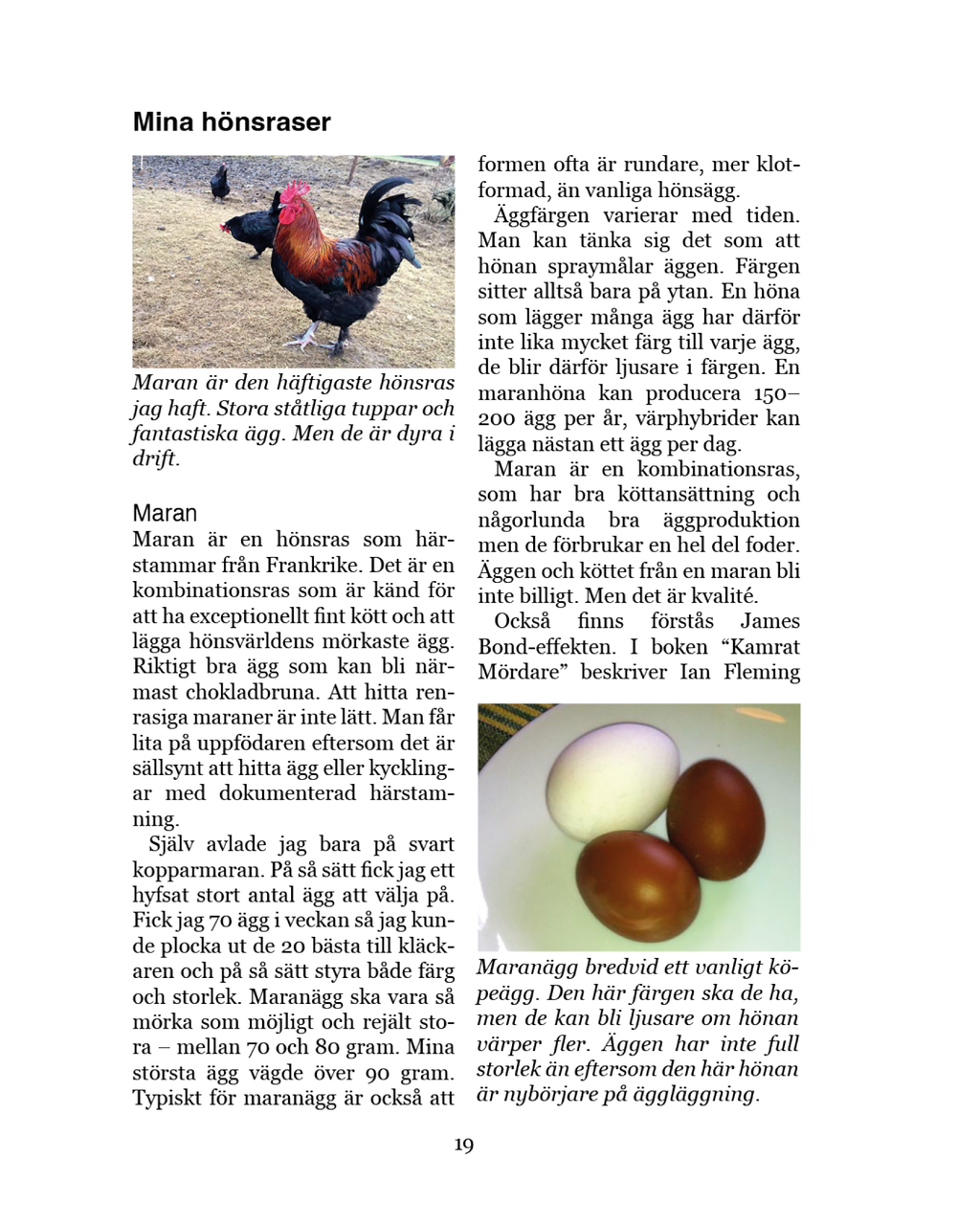 Höns för självhushållning